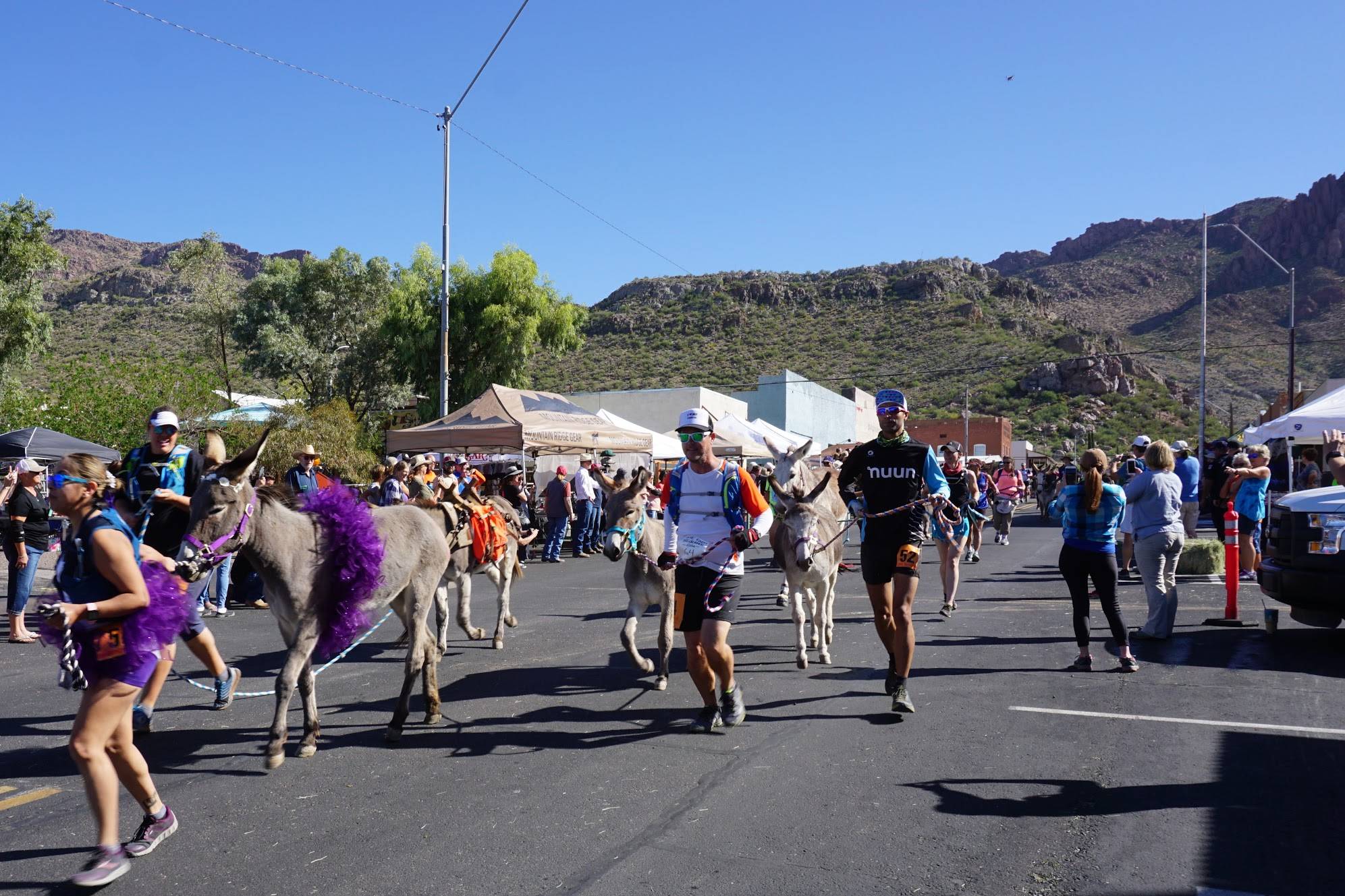 2021 Burro Run and Apache Leap Mining Festival