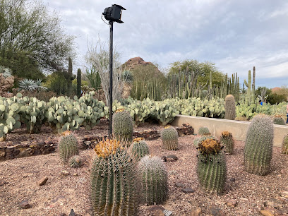 FLASHLIGHT NIGHTS AT DESERT BOTANICAL GARDEN