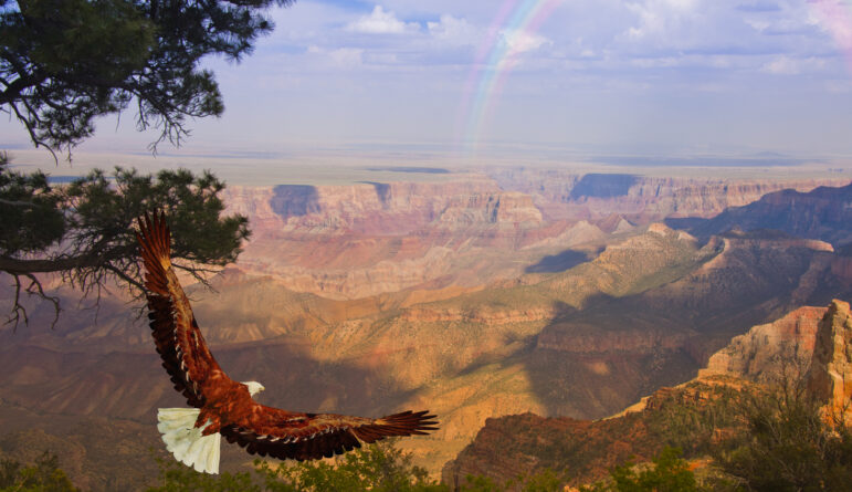 Grand Canyon West adventure