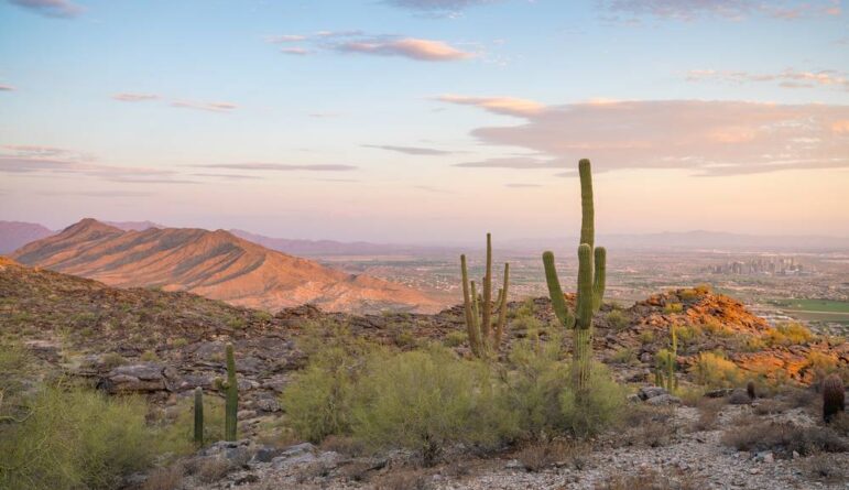 View of Phoenix with Saguaro cactus