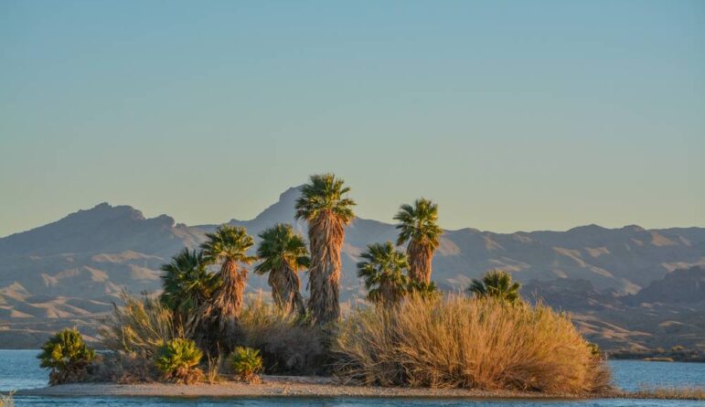 Lake Havasu State Park