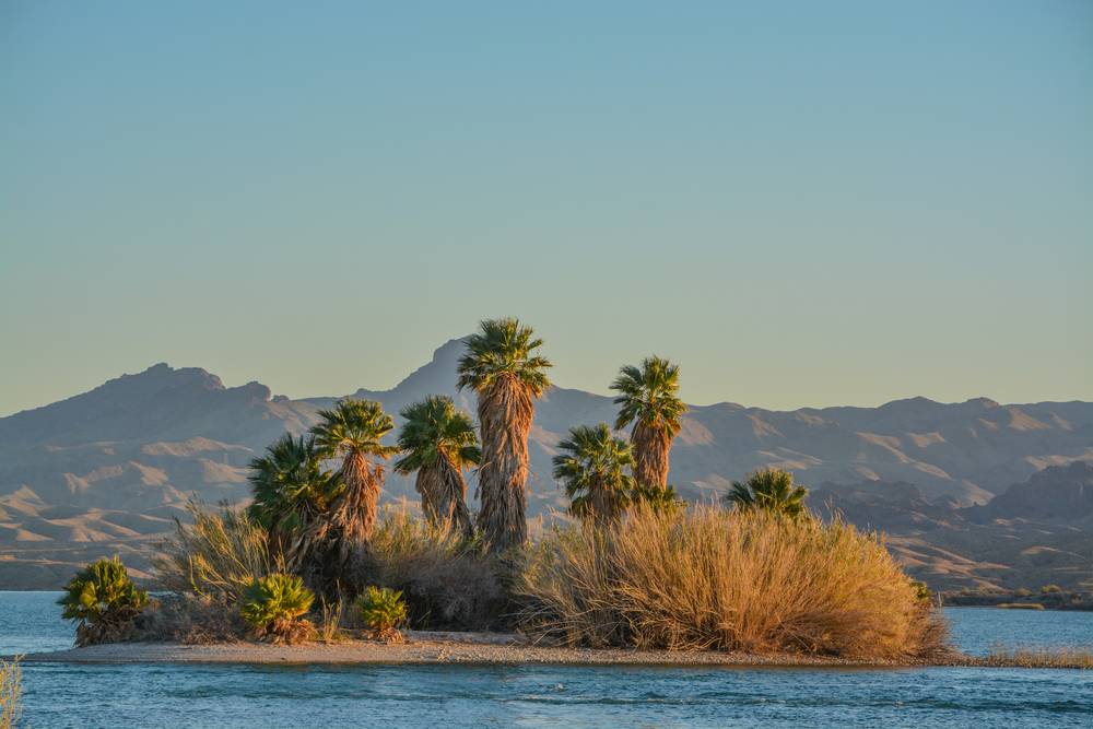 Lake Havasu State Park