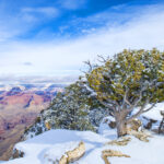 Arizona holiday destinations