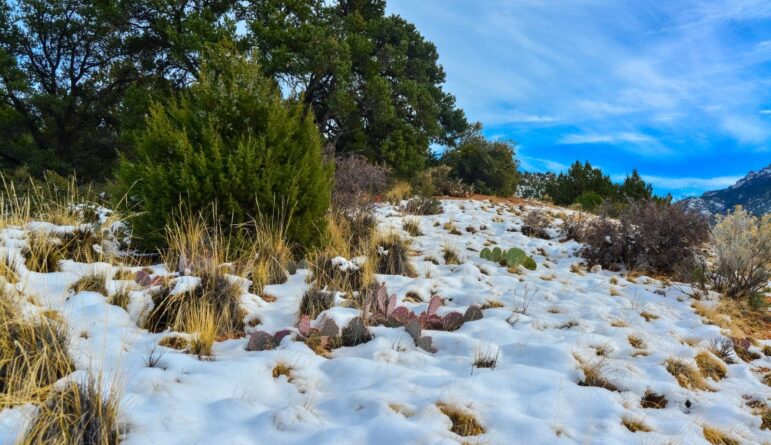 Winter in the desert