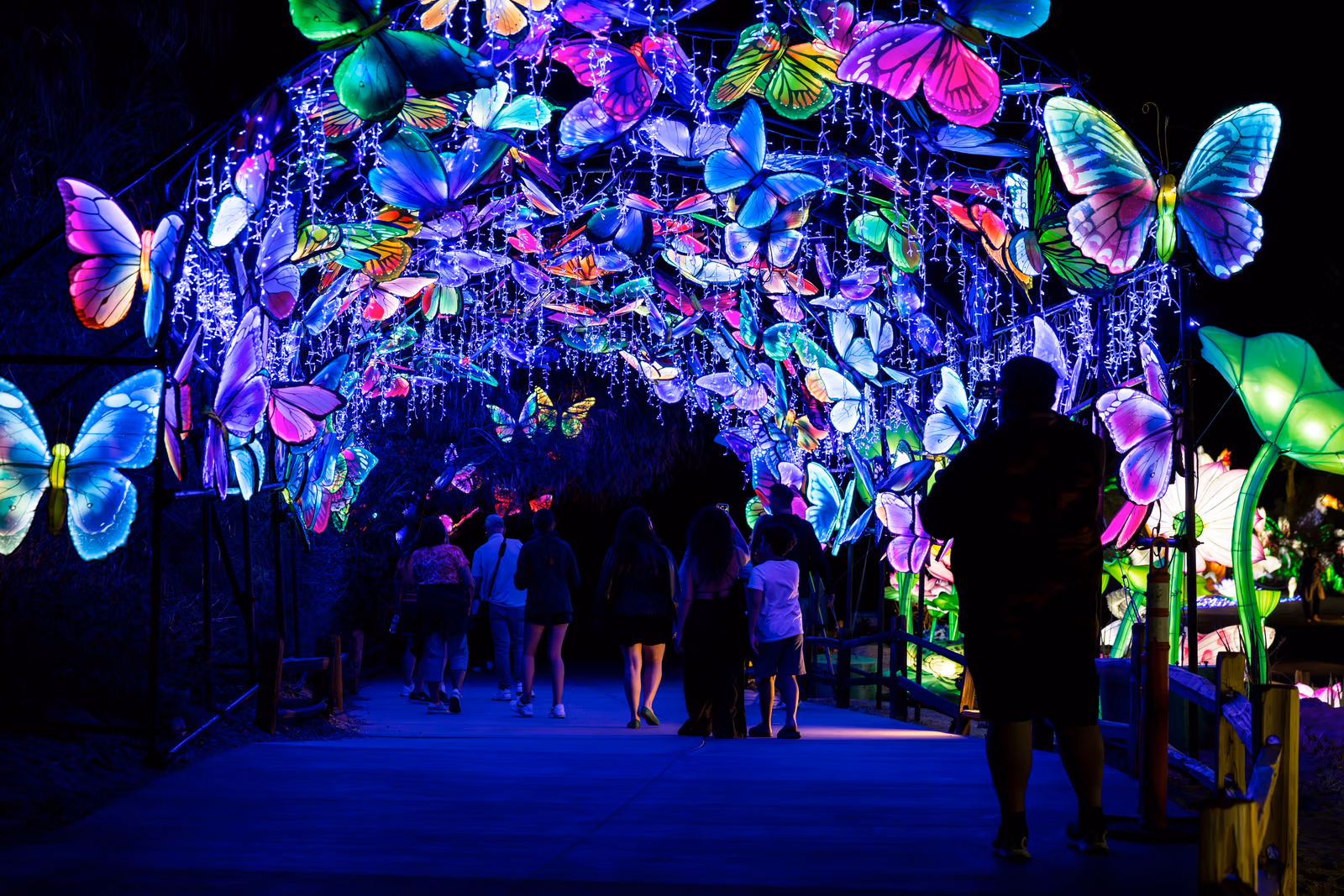 68e5893e533efe0bfa9a7aa8_Tianyu+Lights+Festival+Butterfly+Tunnel+-+resized - Explore Dine Play